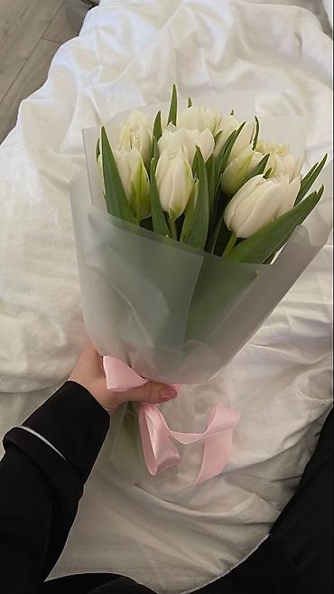 Другие услуги в сфере красоты и здоровья: Тюльпаны по 100 сом 
Оформим, доставим во время ☺️ 
От 200 шт 90 сом — 5