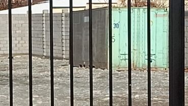 дом кантейнер: ПРОДАЮ ОЦИНКОВАННЫЙ КОНТЕЙНЕР В ОТЛИЧНОМ СОСТОЯНИИ!!!
ПРОСЬБА ЗВОНИТЬ!