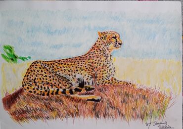 Ostali predmeti za umetnost i kolekcionarstvo: Prodaja crteza,svih dvanaest komada po navedenoj ceni. Angelina samo — 3