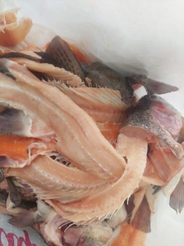 Рыбы: Продаю суп набор из форели. уена за 1 кг 100 сом. головы, хребты