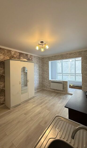 Продажа квартир: 1 комната, 27 м², Индивидуалка, 7 этаж, Евроремонт