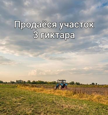 нет времени: 300 соток, Для бизнеса, Договор купли-продажи — 1
