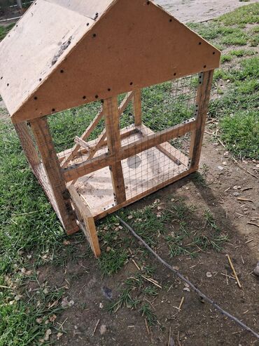 Yuvalar: Qefesderin her biri satilir — 3