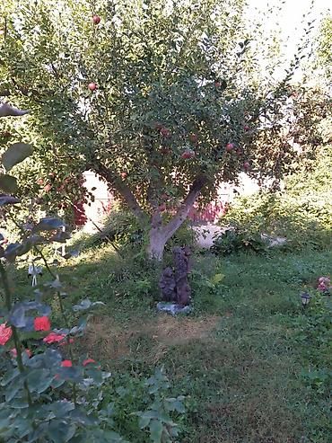 бутка вагон: Продается жилой дом🏡 в дачном товариществе Строитель. курортная зона — 7