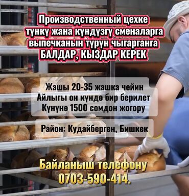 Другие специальности: Производственный цехке түнкү жана күндүзгү сменаларга выпечканын түрүн