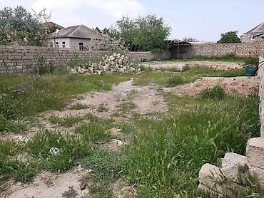 Torpaq sahələrinin satışı: 4 sot, Tikinti, Mülkiyyətçi — 1