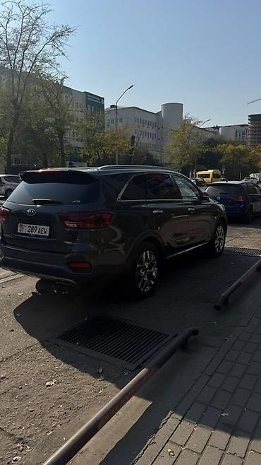 пороги киа соренто: Kia Sorento: 2019 г., 2 л, Автомат, Дизель, Кроссовер — 7