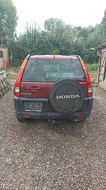 продажа срв: Honda CR-V: 2003 г., 2 л, Автомат, Бензин, Универсал — 1