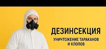 дезинфекция: Профессиональная дезинсекция и дезинфекция помещений Уничтожаем всех — 2