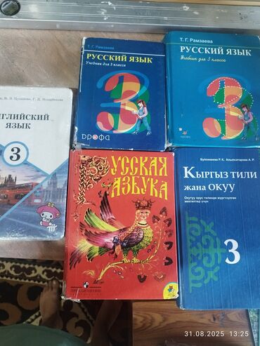 python книга: Набор из пяти школьных учебников, предназначенных для обучения в 3
