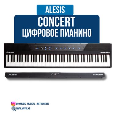 ремонт синтезаторов: Цифровое пианино Alesis Concert Alesis Concert — это идеальный выбор