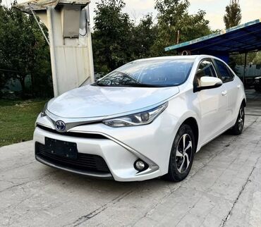 Toyota: Toyota Corolla: 2020 г., 1.2 л, Автомат, Бензин