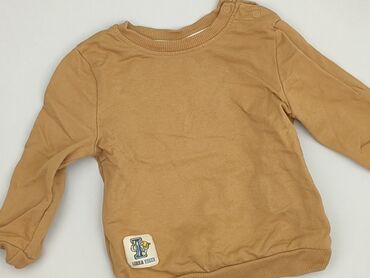 Sweatshirts: Sweatshirt, So cute, 9-12 months, condition - Good