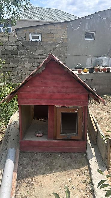 it yuvasi satilir: İt evi – taxta konstruksiya, iki girişli - Material: qalın taxta — 1