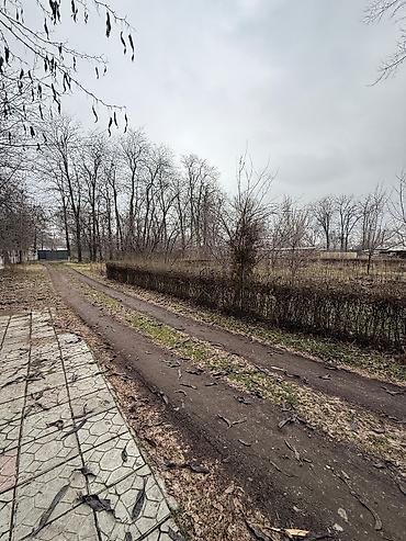 Продажа участков: 40 соток, Для бизнеса, Красная книга — 2