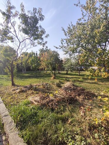 Продажа домов: Дача, 32 м², 2 комнаты, Собственник — 7