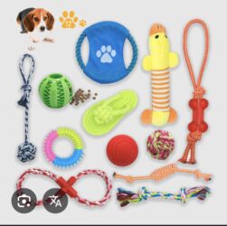 корм для кошек оптом бишкек: Игрушки большой выбор для собак . Цена на игрушки от 150 сом. Цены