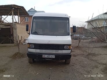 Mercedes-Benz: Mercedes-Benz Vario: 4.2 л, Механика, Дизель, Бус