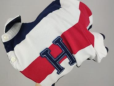 uncle sam: Tommy Hilfiger, Damska koszulka polo, rozmiar XL — 6