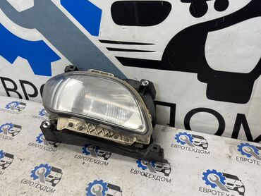 Противотуманные фары: Правая противотуманная фара DAF 2015 г., Б/у, Оригинал, Германия — 2