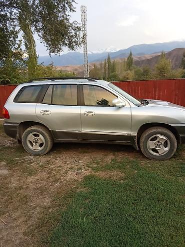 защитник: Hyundai Santa Fe: 2003 г., Автомат, Дизель, Кроссовер — 1