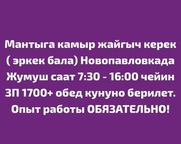 повар на час цена: Талап кылынат Ашпозчу : Ун цехи, Улуттук ашкана, 1-2-жылдык тажрыйба