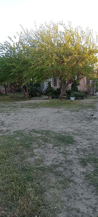 yaşma bağları torpaq: 5 otaqlı, 110 kv. m, Orta təmir — 4