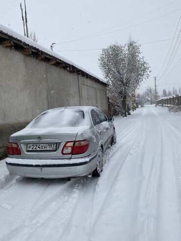 катушка 1 8: Nissan Almera: 2002 г., 1.8 л, Автомат, Бензин, Седан