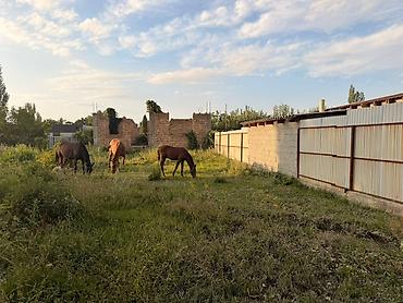 Недвижимость: 5 соток, Для строительства, Красная книга, Договор купли-продажи — 1