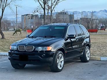 BMW: BMW X5: 2002 г., 4.4 л, Автомат, Бензин, Внедорожник — 4
