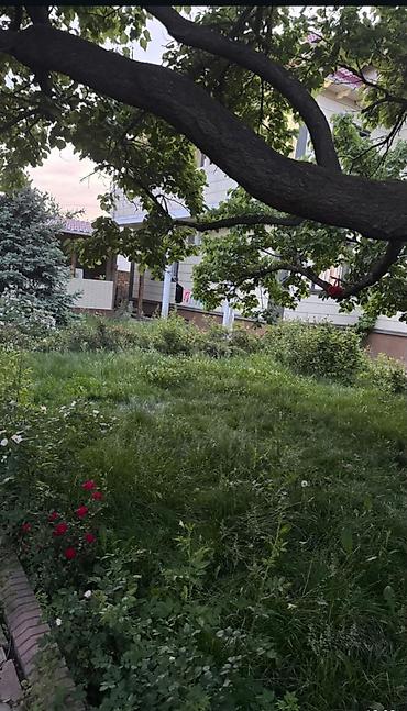 Долгосрочная аренда домов: 320 м², 8 комнат, Кондиционер — 2