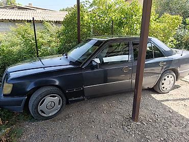 меерс 124: Mercedes-Benz W124: 1990 г., 2.3 л, Механика, Бензин, Седан — 1