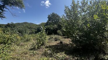 Torpaq sahələrinin satışı: 10 sot, Tikinti, Kupça (Çıxarış) — 2