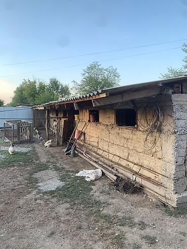 Продажа коттеджей и домов: Продаётся частный дом с участком. - Планировка: несколько — 14