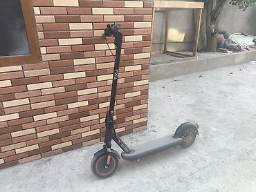 skuter əyləci: Yeni Elektrik samokat 10", 351 - 500 Vt, 26 - 35 km/s, Ödənişli çatdırılma — 1