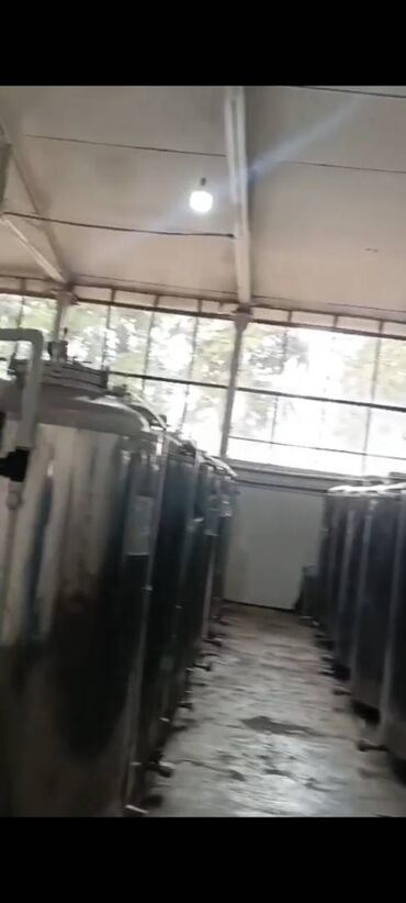 Kommersiya daşınmaz əmlakının satışı: Şəkidə fabrik satılır. Qiymətdə razılaşmaq. Yalnız real alıcılarla -da lalafo.az — 24 Kommersiya daşınmaz əmlakının satışı: Şəkidə fabrik satılır. Qiymətdə razılaşmaq. Yalnız real alıcılarla — 24