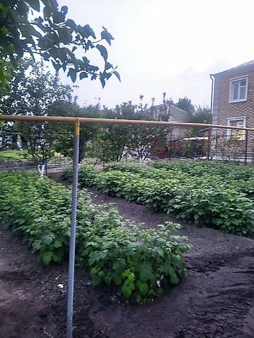 Продажа домов: Дом, 230 м², 5 комнат, Риэлтор, Евроремонт — 3