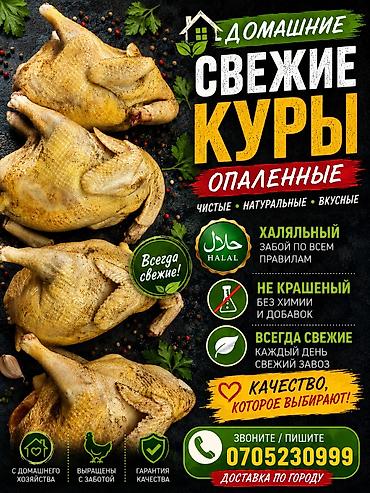 курен: Домашние потрошёные куры (тушка целиком) Опаленная Мы не красим 100% — 1