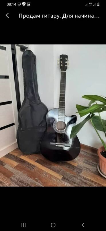 гитара для начинающих: Продаю новую гитару. Для начинающих. производство Китай. С чехлом