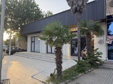 Digər kommersiya daşınmaz əmlakı: Obyekt Statiska binasinin tam yaninda yerleşir. İcereye verilen obyekt — 27