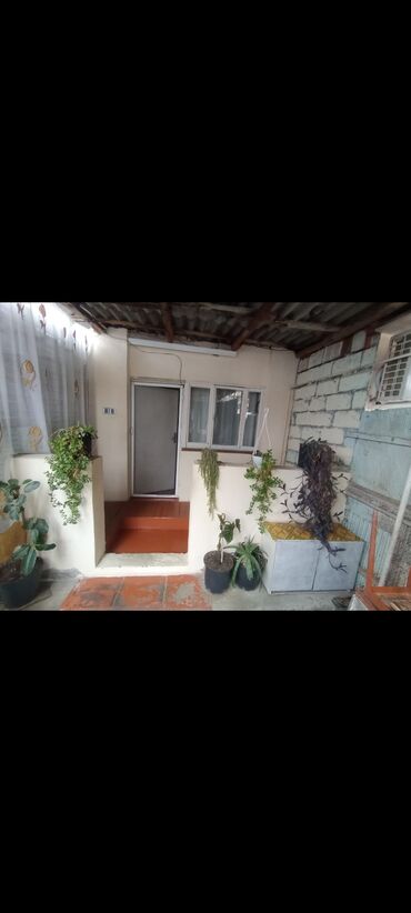 Həyət evləri və villaların satışı: Mingeçevir 2otaqlı həyət evi – vaqonlarda mətbəx,hamam,əlavə damı -da lalafo.az — 3 Həyət evləri və villaların satışı: Mingeçevir 2otaqlı həyət evi – vaqonlarda mətbəx,hamam,əlavə damı — 3