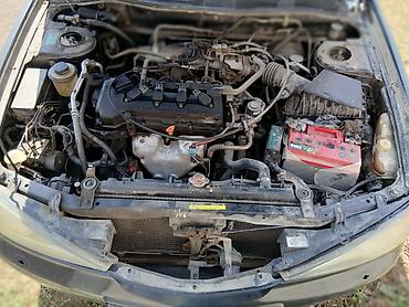 кышкы: Nissan Primera: 2001 г., 1.8 л, Кол менен иштөөчү, Бензин, Универсал — 6