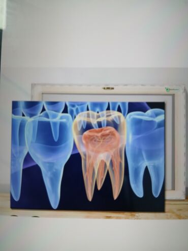 купить большие настенные часы 3d: Требуется ассистент стоматолога в частную клинику зарплата при