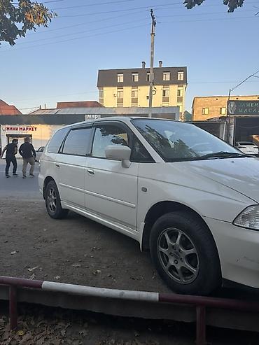 аккорд цена: Honda Odyssey: 2003 г., 2.3 л, Автомат, Бензин, Универсал — 7
