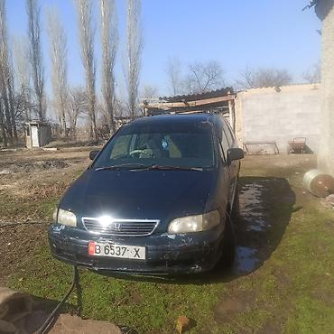 transporter multivan: Honda Odyssey: 1994 г., 2.2 л, Автомат, Бензин, Минивэн — 3