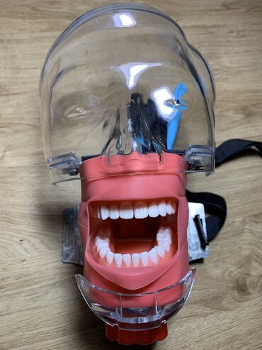 цифровой рентген бишкек цена: Продаю фантом головы стоматологический Для тренировки навыков