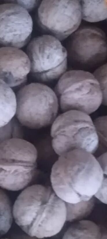 Сухофрукты, орехи, снеки: Грецкий орех продаю 60 сом кг