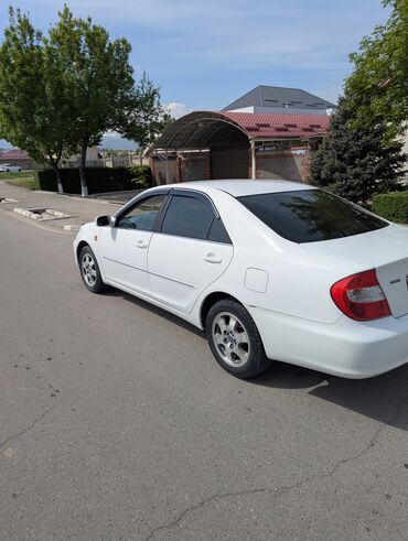 тайота карон: Toyota Camry: 2004 г., 2.4 л, Механика, Бензин, Седан