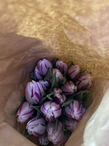 Букеты из живых цветов: Тюльпаны в крафт-упаковке - Срезанные тюльпаны с плотным бутоном — 4