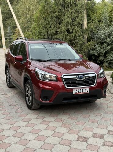 я ищу машину: Subaru Forester: 2020 г., 2.5 л, Вариатор, Бензин, Кроссовер